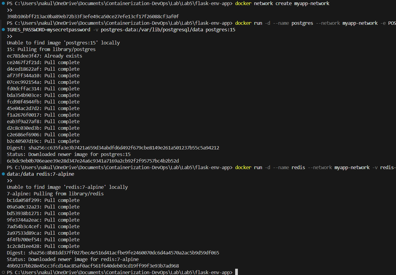Postgres and Redis Network Setup