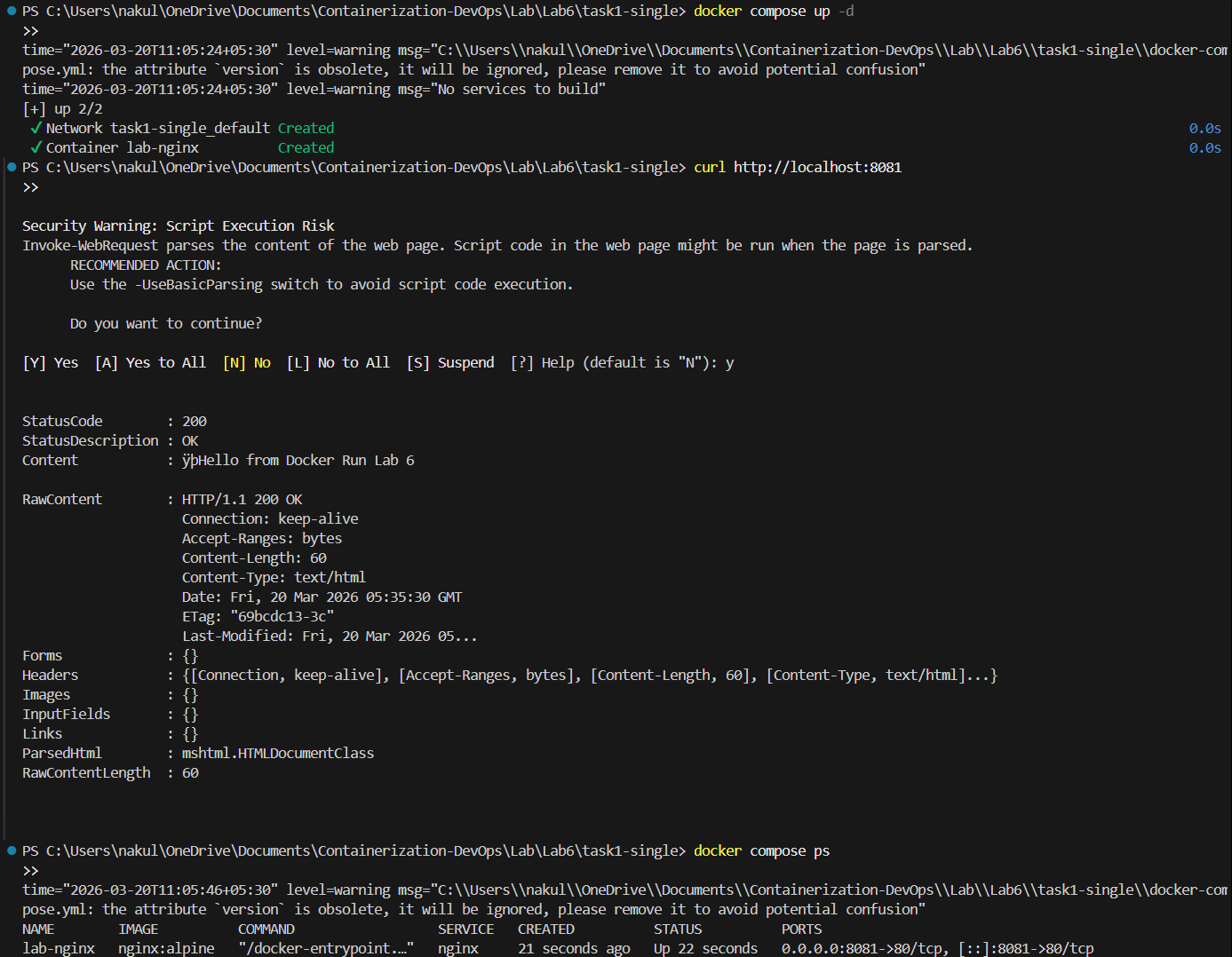 Docker Compose Output