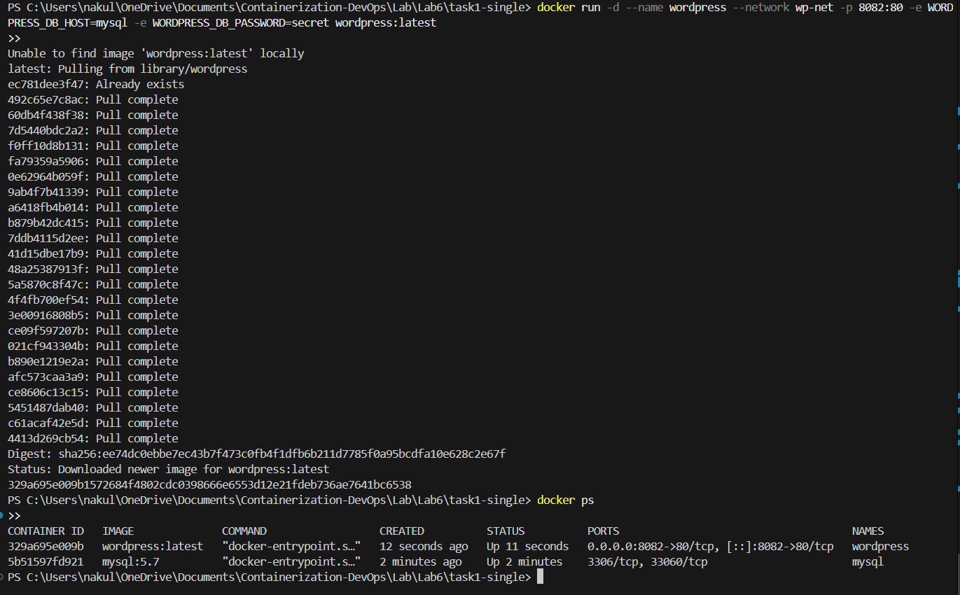 Manual Multi-Container Output 2