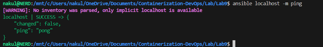 Localhost Ping Output Localhost Ping Placeholder
