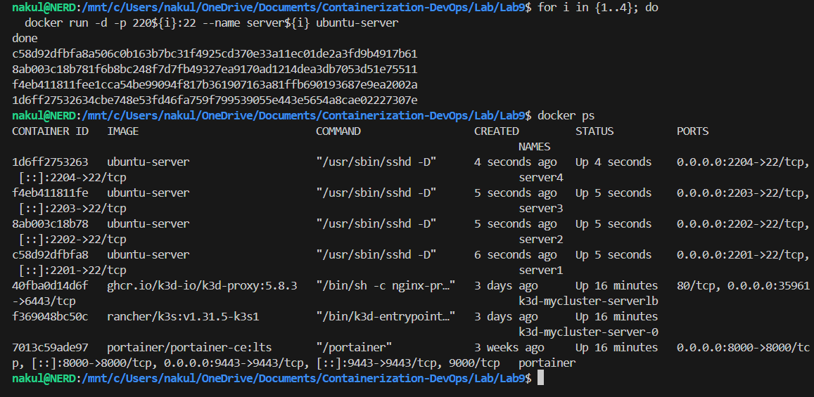 Ansible Testing Output Docker Run Placeholder