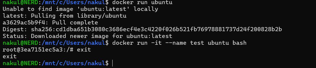 Step 5 -- Ubuntu Container Execution