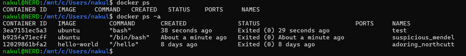 Step 6 -- Docker Container Status