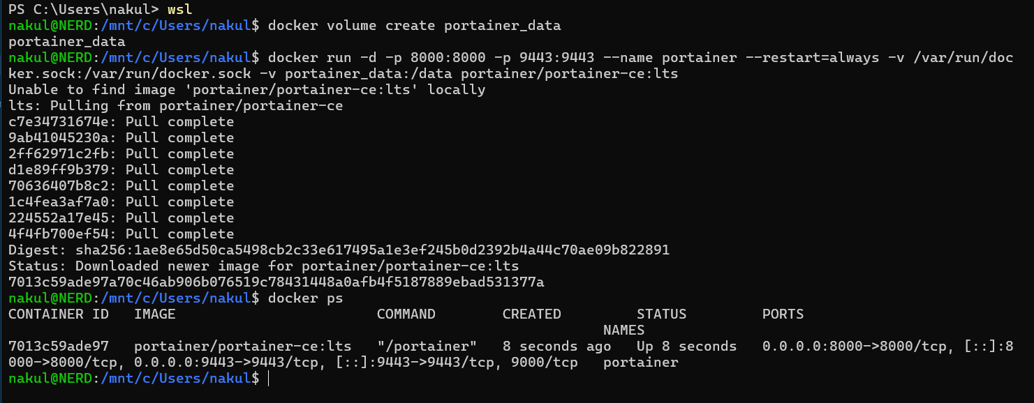 Portainer CLI Setup