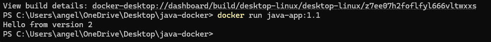 Docker Run Output