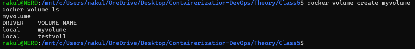 Step 9 -- Verify Named Volume