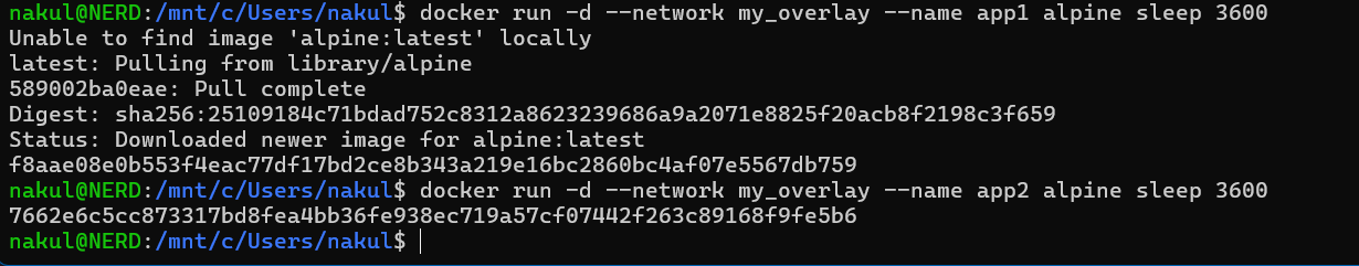 Run Containers in Overlay Network