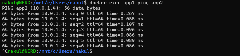 Test Connectivity Between Containers