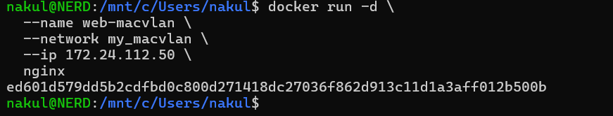 Run Nginx on Macvlan